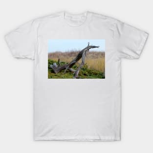 Coastal Driftwood T-Shirt